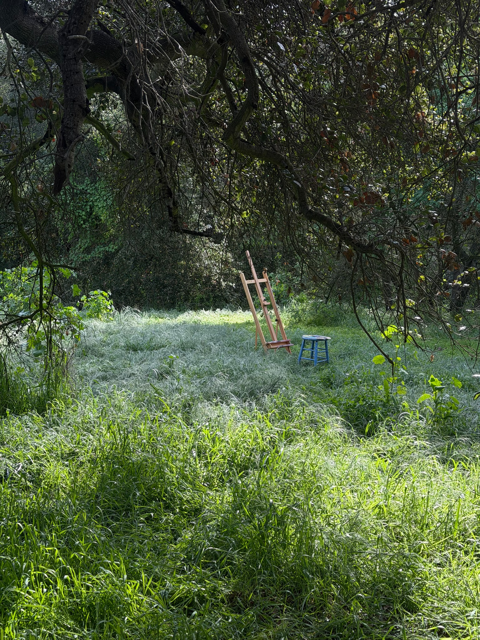 Green Dread gallery image 8